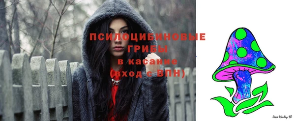 таблы Инта
