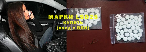 PSILOCYBIN Иннополис