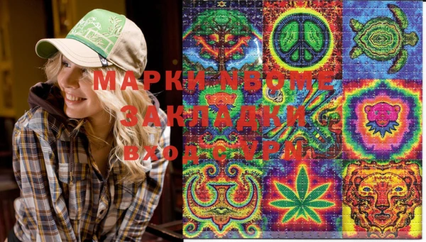 мет Инсар